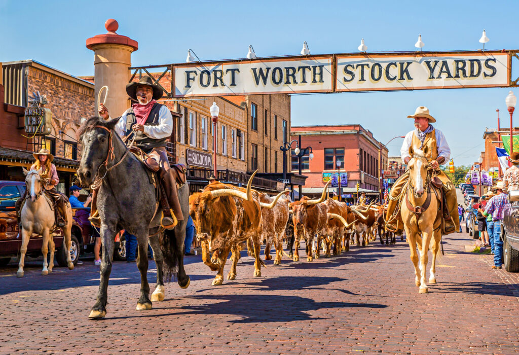 3 cowboys on horses in the streets of fort worth texas with gastropubs and restaurants on the streets surrounding them. There are a line of bulls behind them and a banner sign which reads Fort Worth Stock Yards