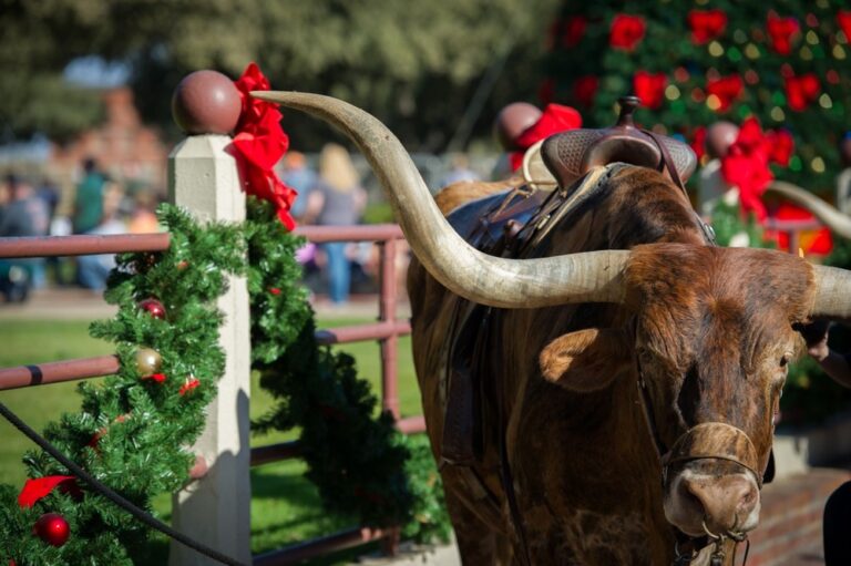 It’s Yuletide Ya’ll.  A Stockyards Holiday Food & Culture Tour